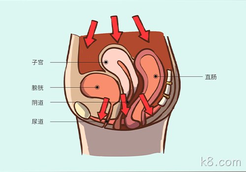 助力女性盆底功能健康发展，k8.com推出高频评估电灼仪