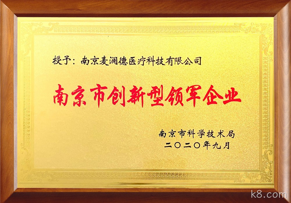 南京市创新型领军企业